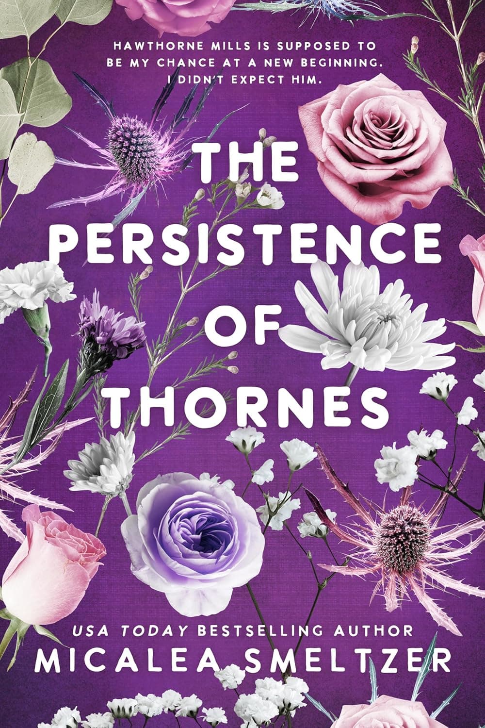 The Persistence of Thornes