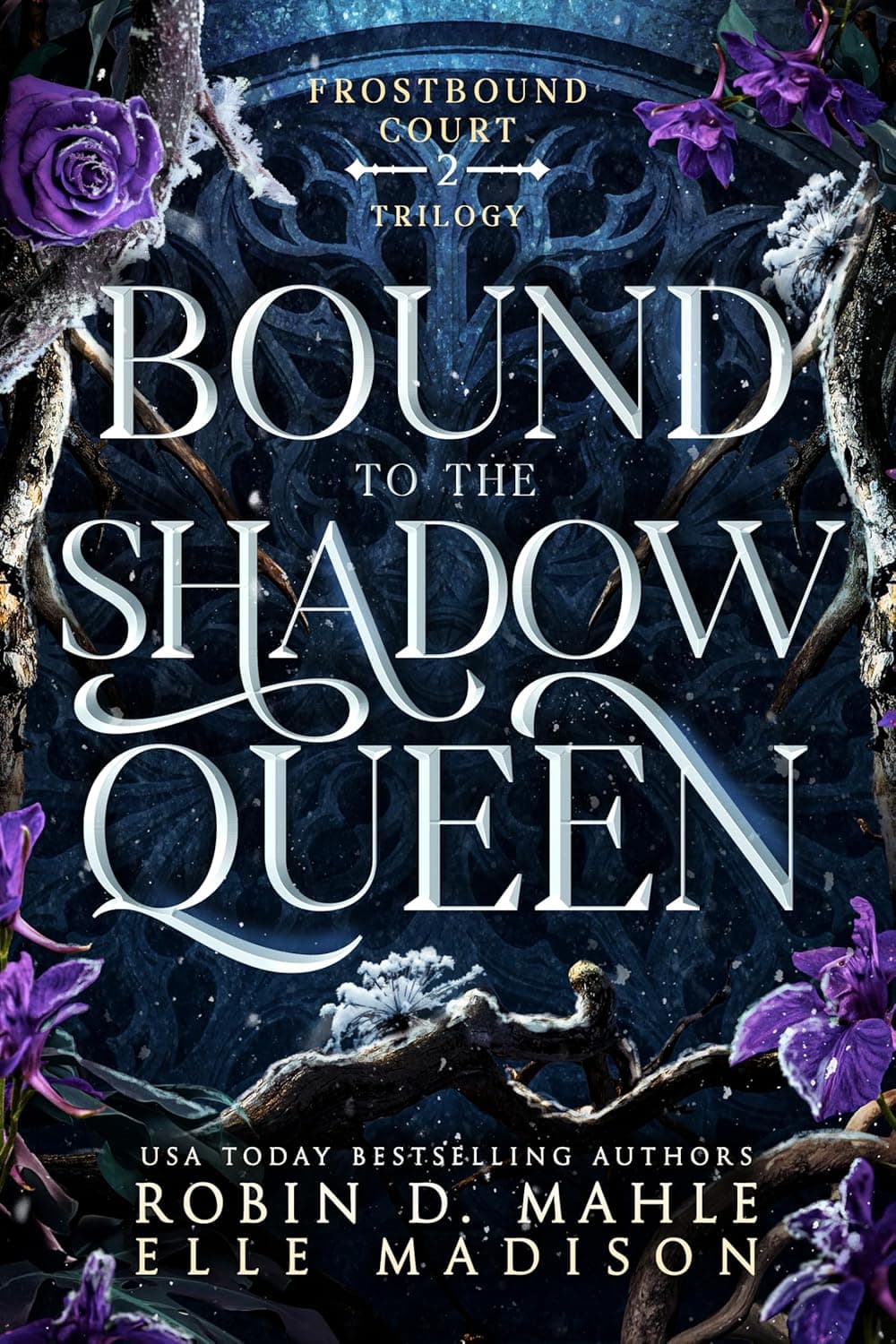 Bound to the Shadow Queen