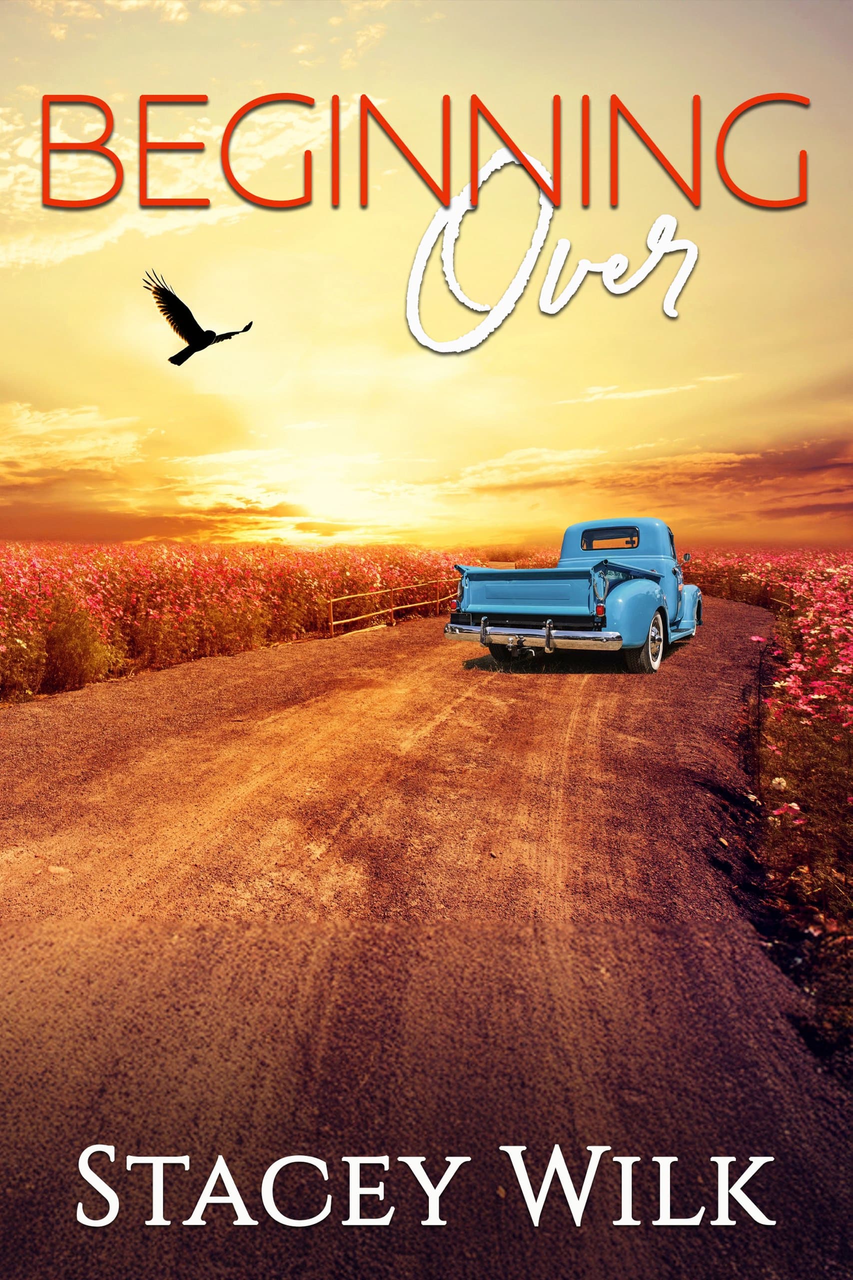 Beginning Over