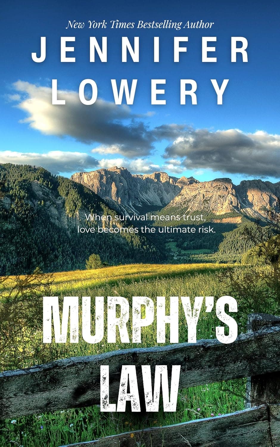 Murphy's Law