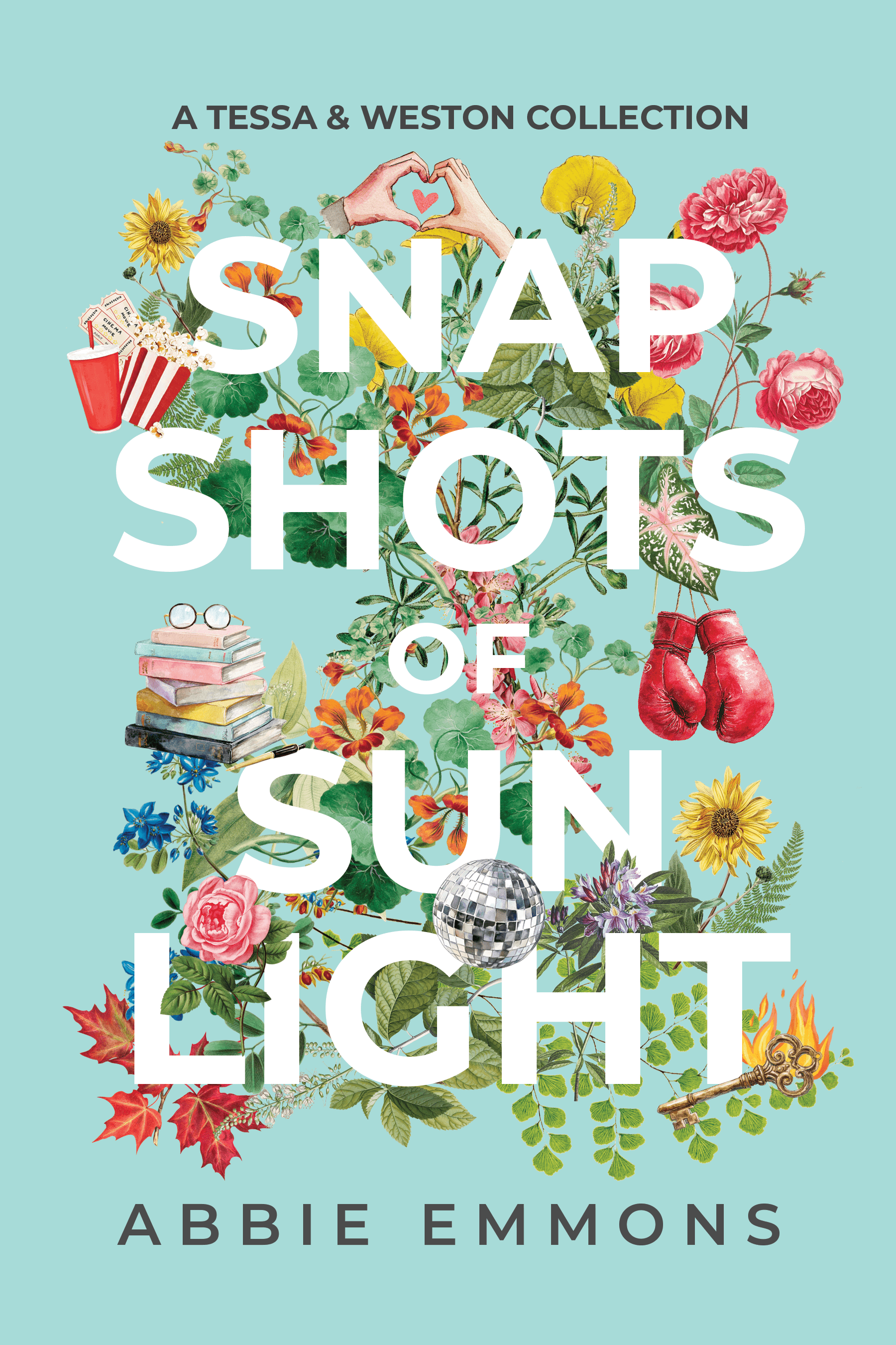 Snapshots of Sunlight