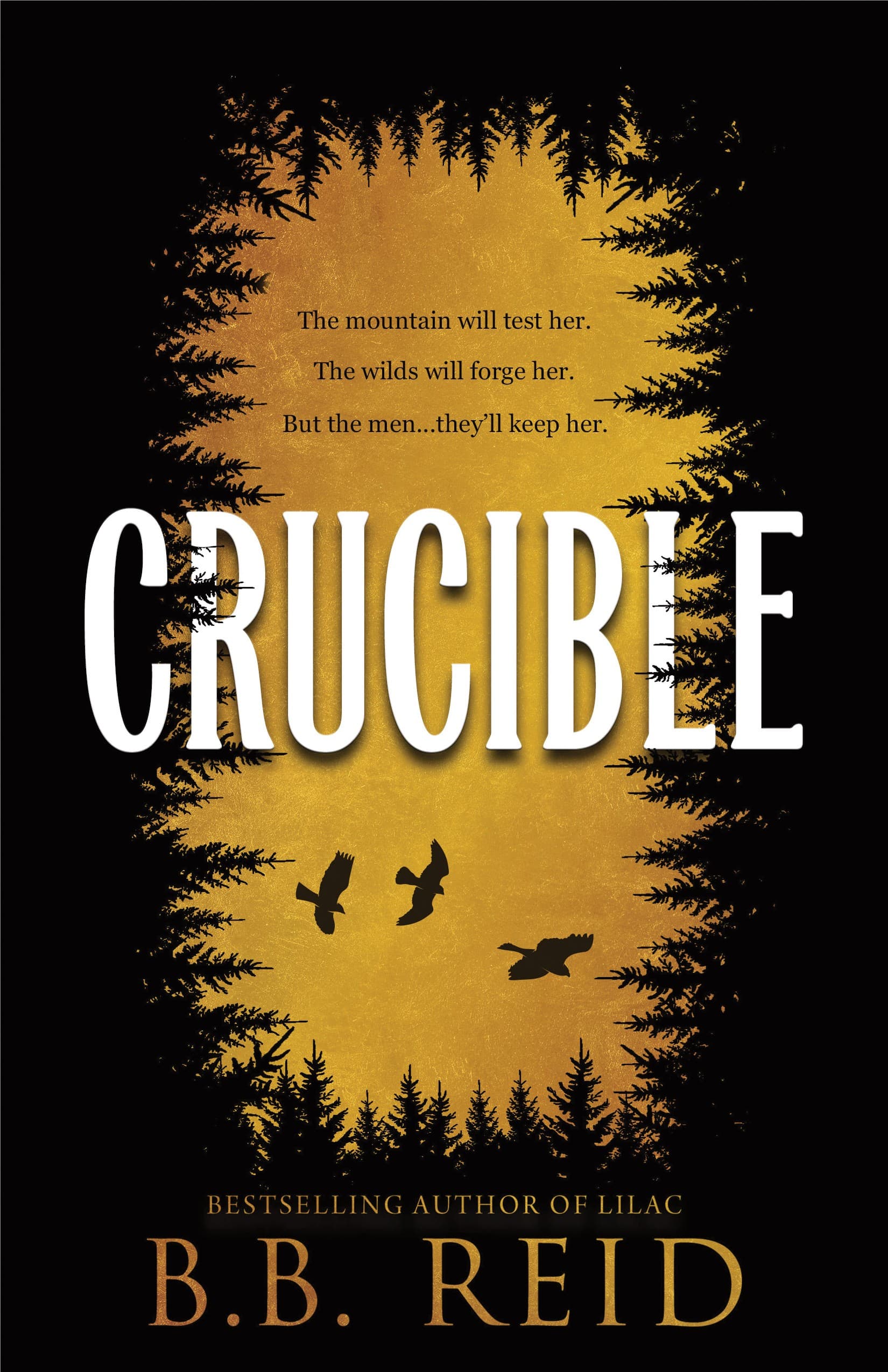 Crucible