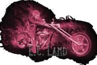 E.C. Land